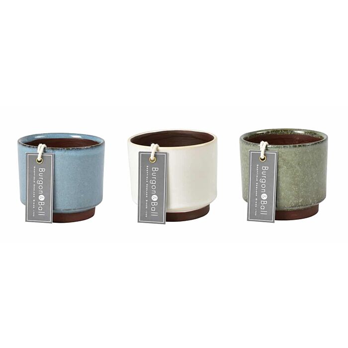 Burgon & Ball Malibu Succulent Pots-1